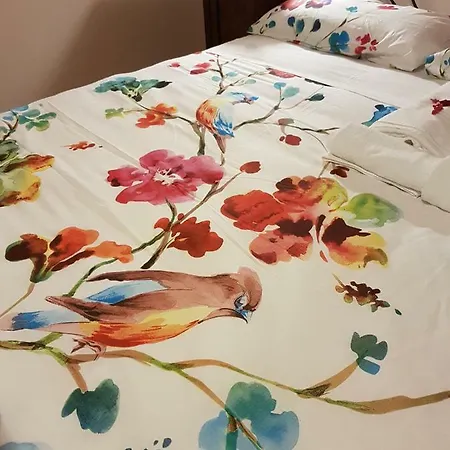 Casa Veneta Bed & Breakfast Martignacco